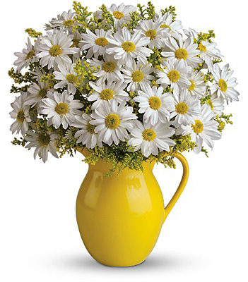 Teleflora's Sunny Day Pitcher of Daisies from Richardson's Flowers in Medford, NJ